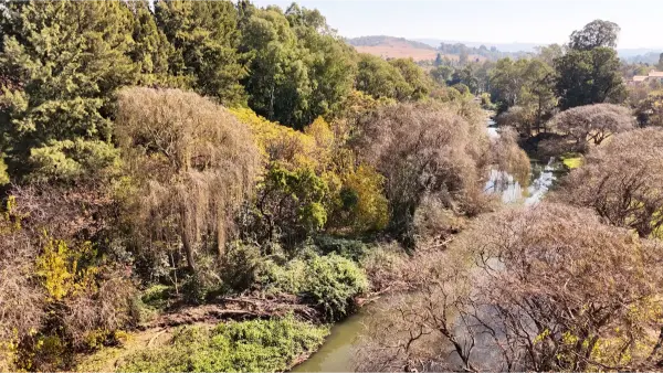 Riverhaven Escape photo 6